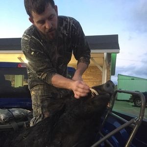 Meet your Posher, Andrew